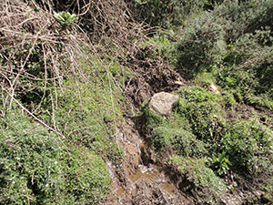 the very first water springs emerging from the peak of Pidurutalagala
